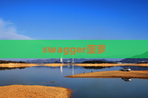 swagger菠萝